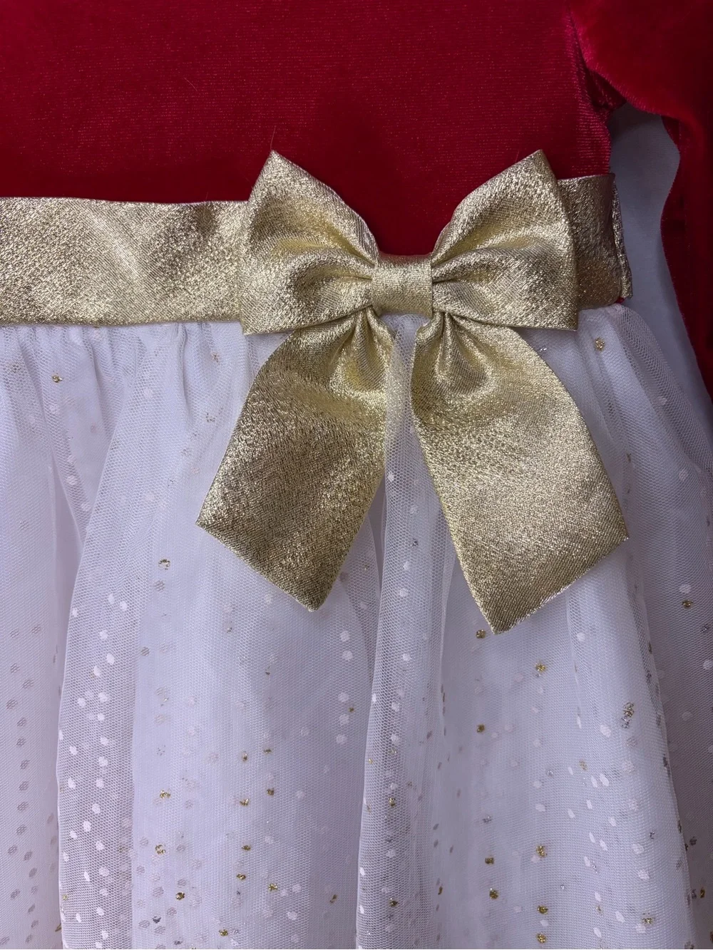 Beautiful Bonnie Baby holiday dress in size 18 Months. EUC